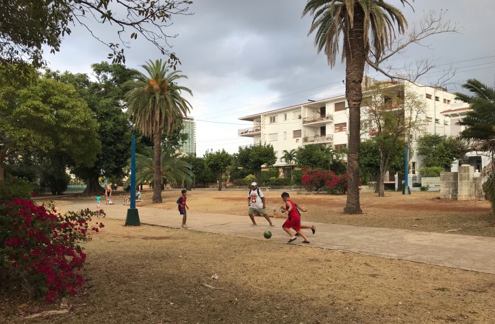 kids playing soccer in the park